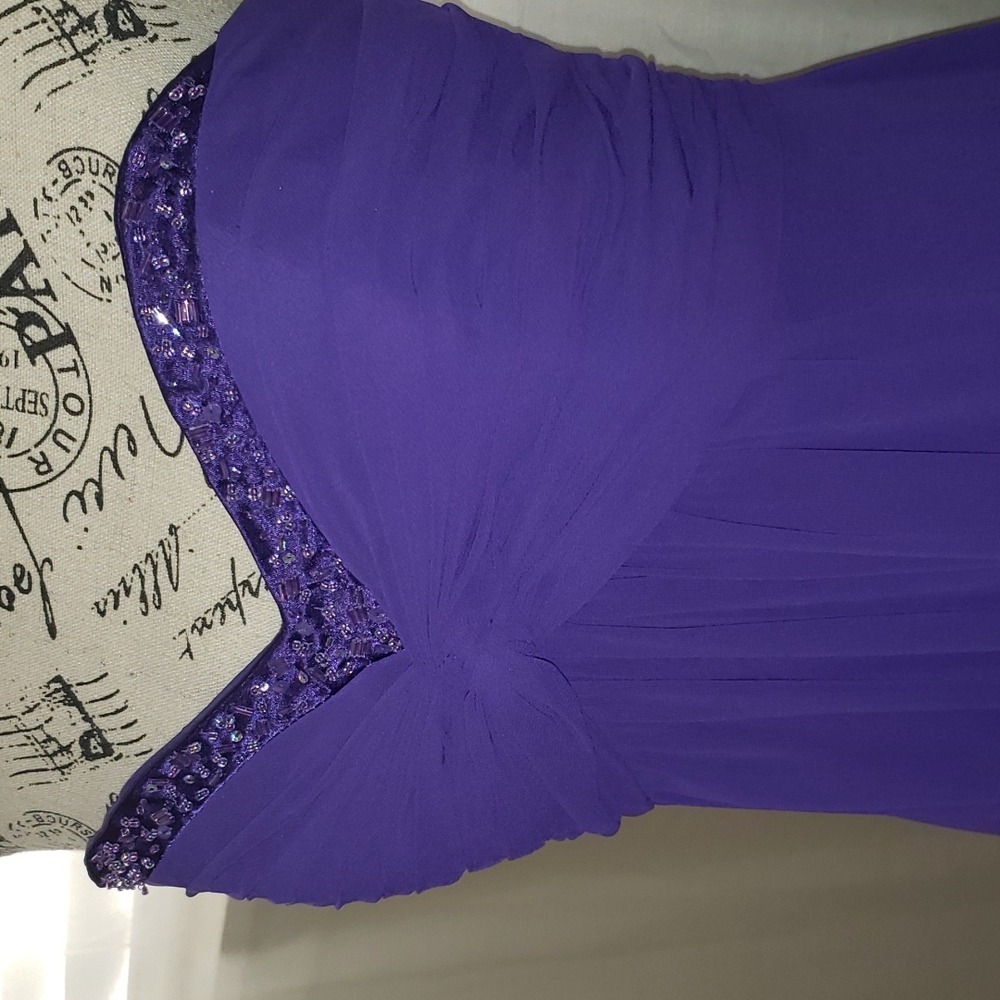 Purple David's Bridal dress